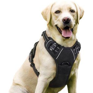 Pawsafe Dogs strap  Large size like new